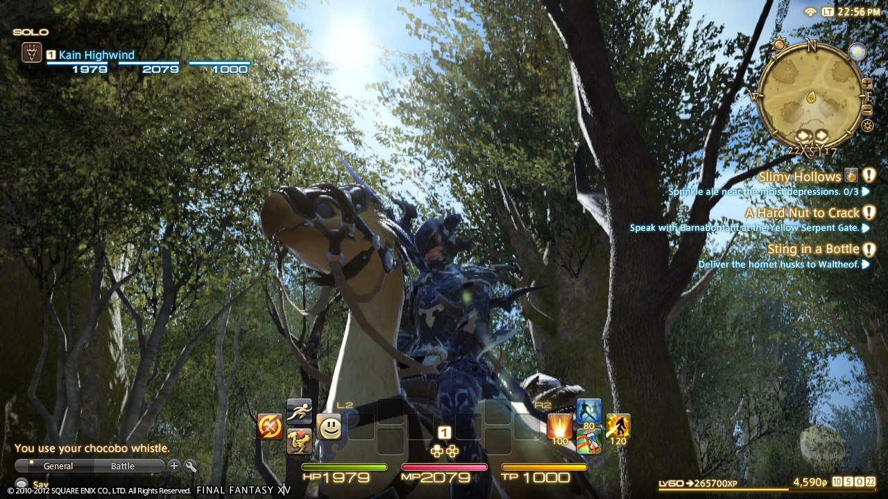 Final Fantasy XIV: A Realm Reborn (Edición Coleccionista)